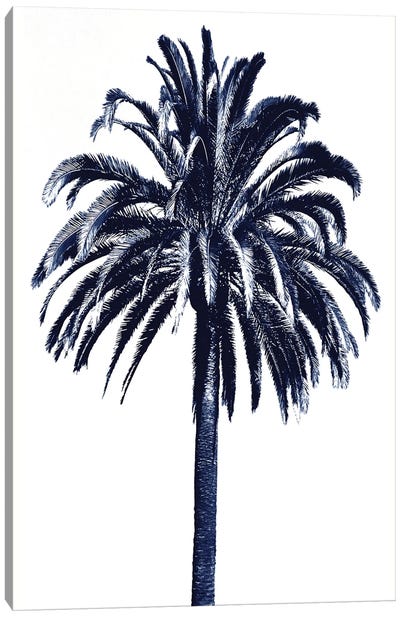 Blue Palm Tree III Canvas Art Print