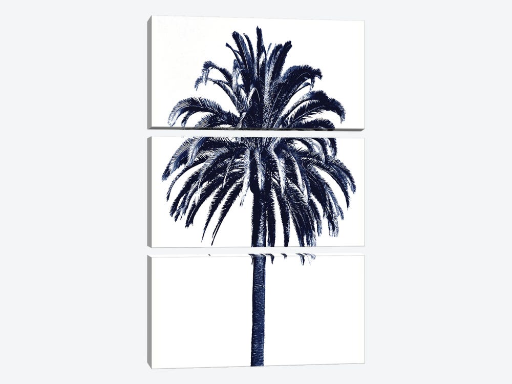 Blue Palm Tree III by Devon Davis 3-piece Canvas Art