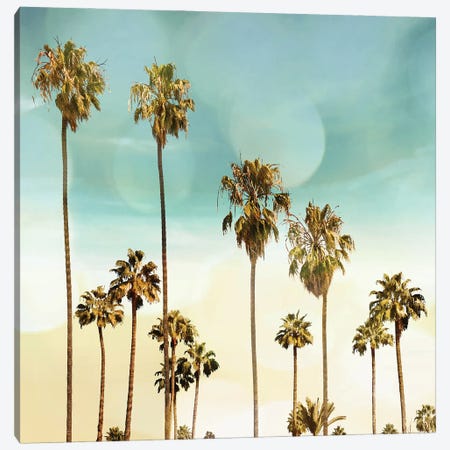 Beach Palms II Canvas Print #DED5} by Devon Davis Canvas Art