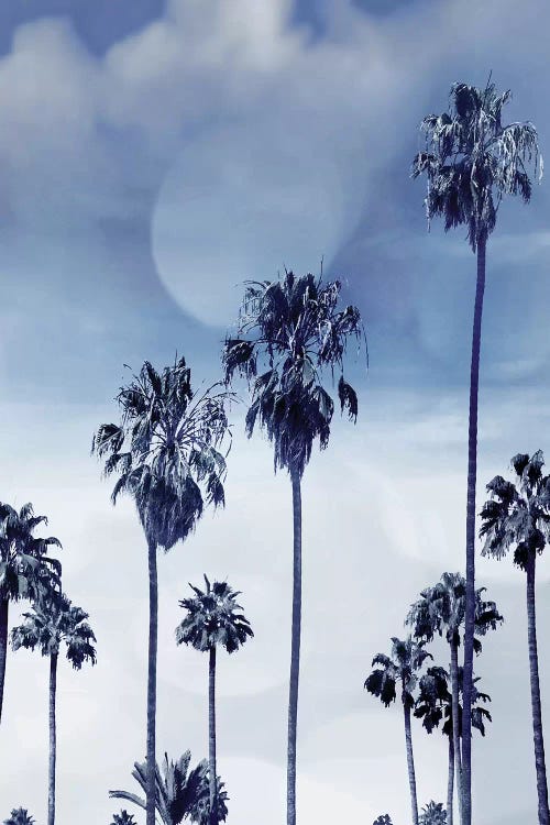 Beach Palms Indigo I