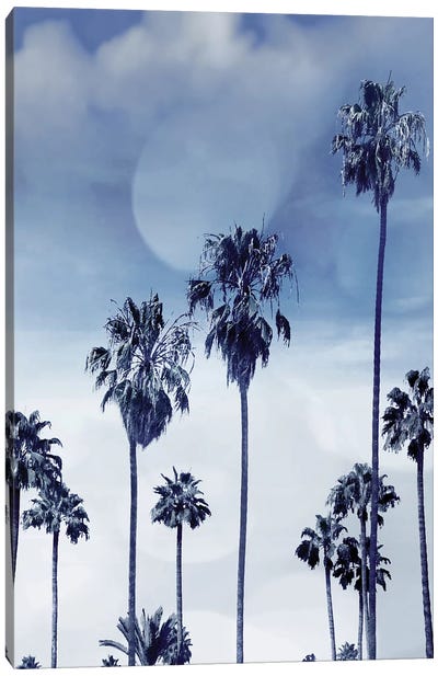 Beach Palms Indigo I Canvas Art Print