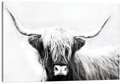 Highland Longhorn Canvas Art Print - Large Black & White Art