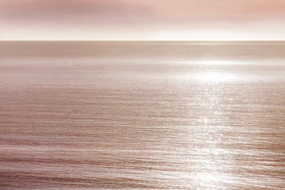 La Jolla by Danita Delimont art print