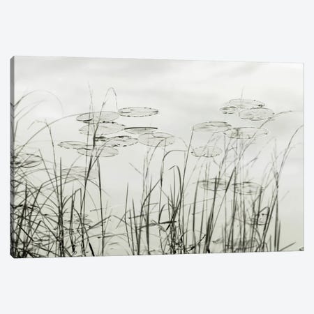 Silver Lake Lillies Canvas Print #DEL107} by Danita Delimont Art Print