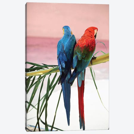 Palm Parrots Canvas Print #DEL134} by Danita Delimont Canvas Art