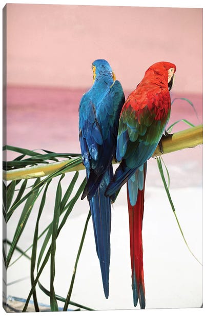 Palm Parrots Canvas Art Print - Parrot Art