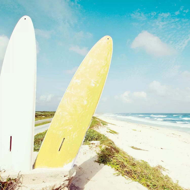 Punta Morena Beach by Danita Delimont wall art