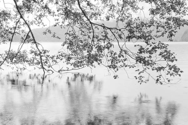Lake Crescent