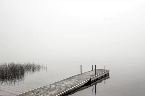 Docks & Piers: Morning Mist by Danita Delimont