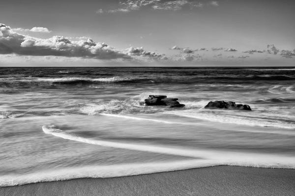 Coastlines: Whispering Sands Beach by Danita Delimont