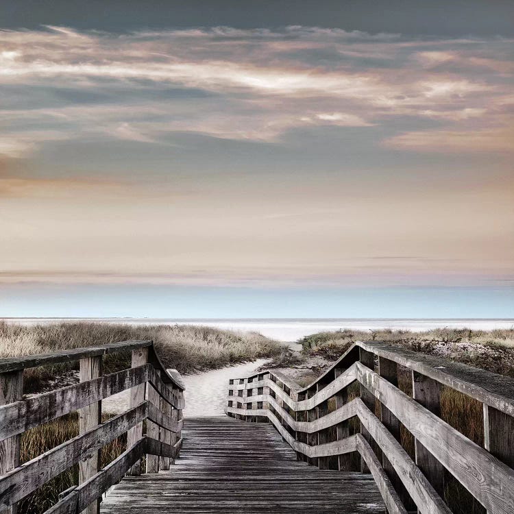 Chatham Dawn by Danita Delimont wall art