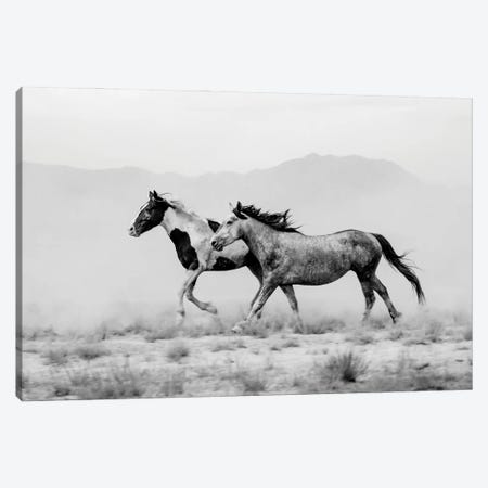 Tooele County Duo Canvas Print #DEL210} by Danita Delimont Canvas Wall Art
