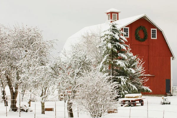 Farms: Festive Barn by Danita Delimont