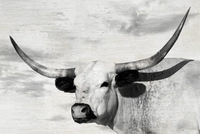 Buttercup by Danita Delimont art print