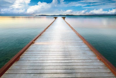 Long View Pier by Danita Delimont framed wall art