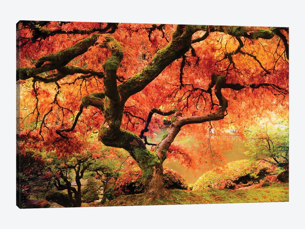 Autumn Symphony 1-piece Art Print