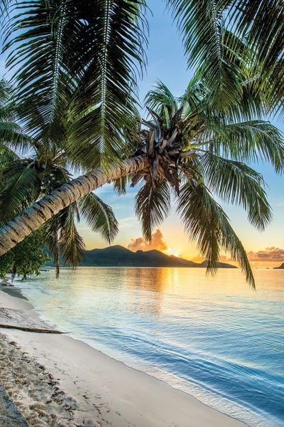 Tropical Beaches: Beautiful Beach Sunset by Danita Delimont