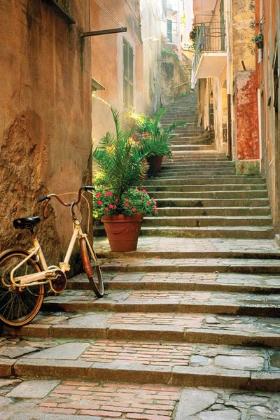 Liguria: Cinque Terre by Danita Delimont
