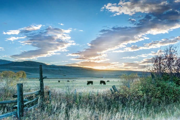 Ranch Sunrise