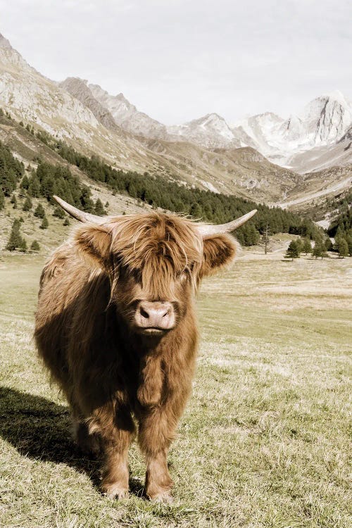 Oetztal Alps