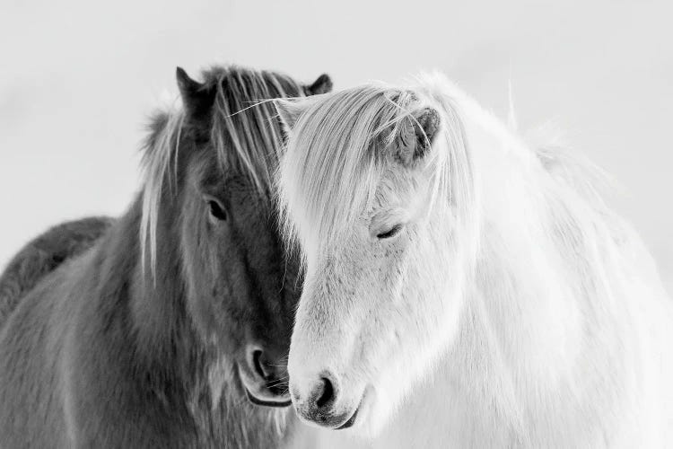 South Iceland by Danita Delimont wall art