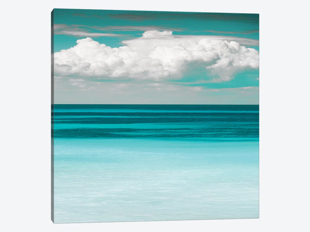 Teal Bay by Danita Delimont 1-piece Canvas Wall Art