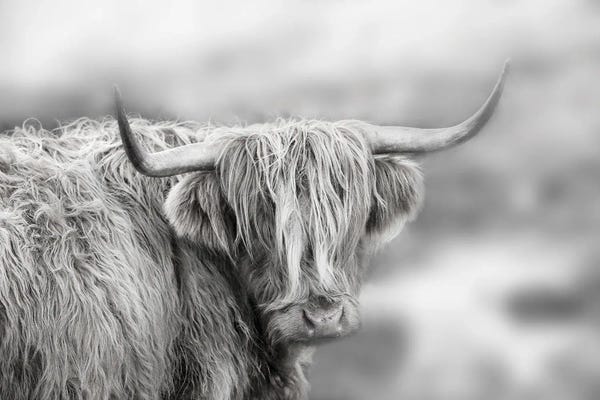 Skye: Roaming Isle of Skye by Danita Delimont