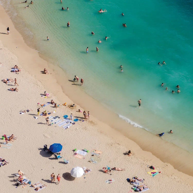 Aerial Waikiki by Danita Delimont wall art