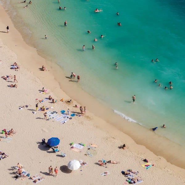 Honolulu: Aerial Waikiki by Danita Delimont