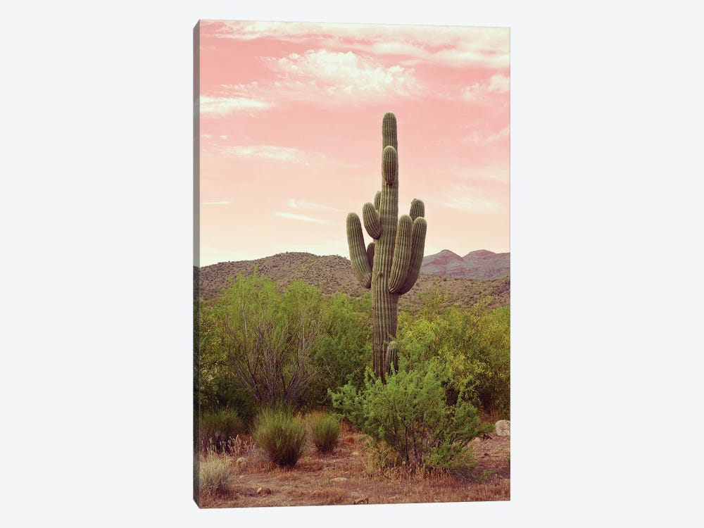 Arizona Desert by Danita Delimont 1-piece Canvas Print