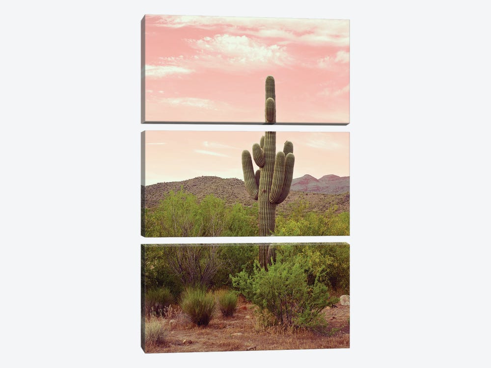 Arizona Desert by Danita Delimont 3-piece Canvas Art Print