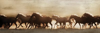 Frontier Stampede by Danita Delimont multi panel art