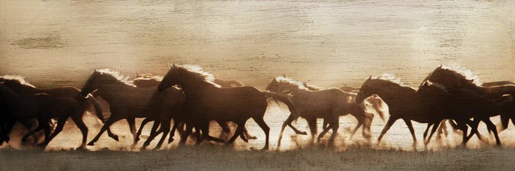 Frontier Stampede