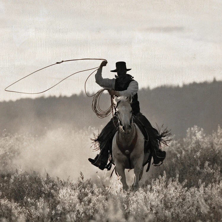 Ponderosa Cowboy by Danita Delimont wall art
