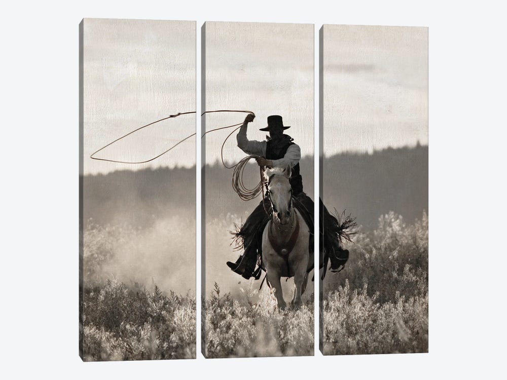 Ponderosa Cowboy by Danita Delimont 3-piece Canvas Art