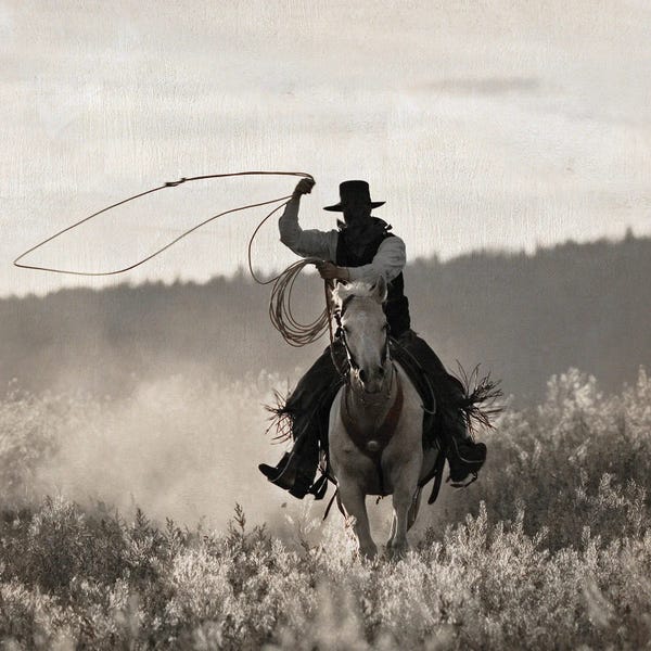 Ponderosa Cowboy
