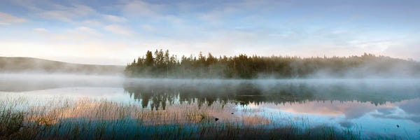 Mist & Fog: East Inlet Early Morning by Danita Delimont