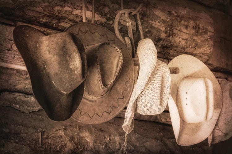 Hat Creek Ranch by Danita Delimont wall art