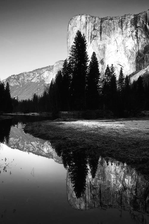 Snake River Reflection II