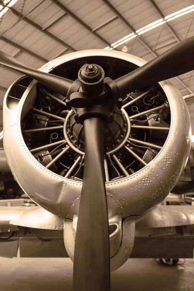 WW II Fighter by Danita Delimont canvas print