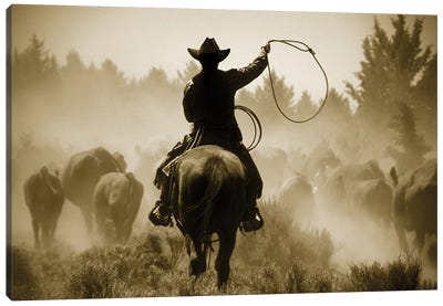Rope And Ride Canvas Art Print - Horse Art