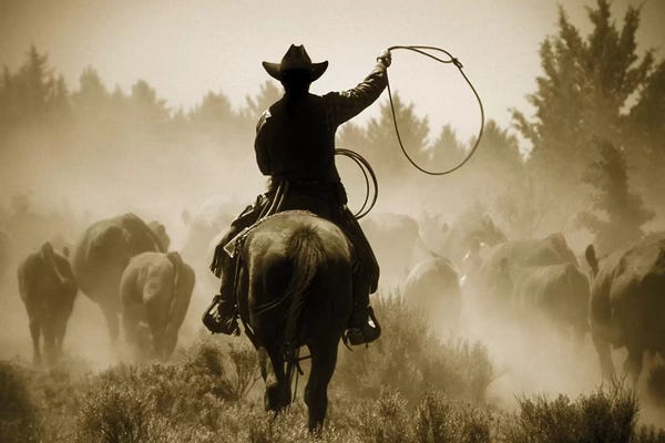 Horseback: Rope And Ride by Danita Delimont