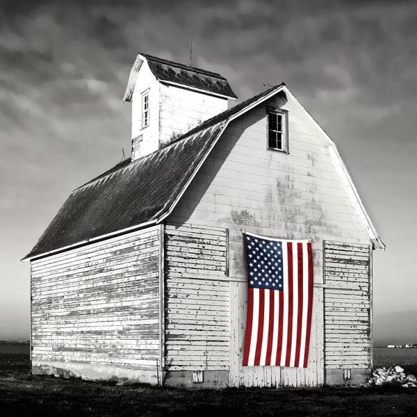 American Décor: Modern Barn I by Danita Delimont