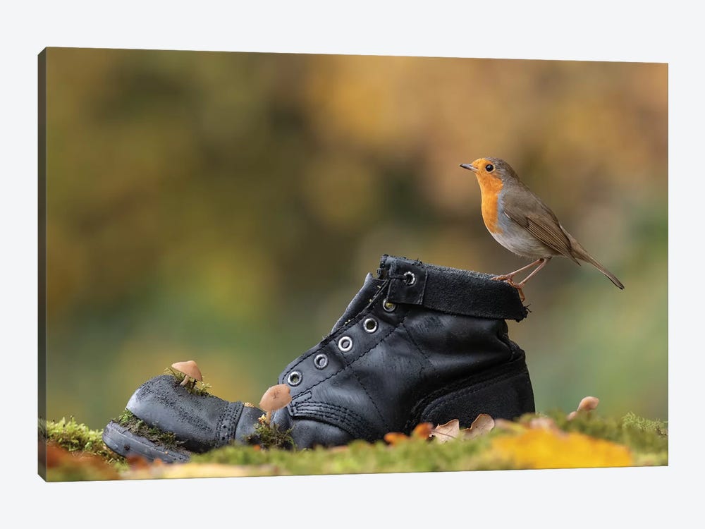 Autumnal Robin On Old Boot by Dean Mason 1-piece Art Print