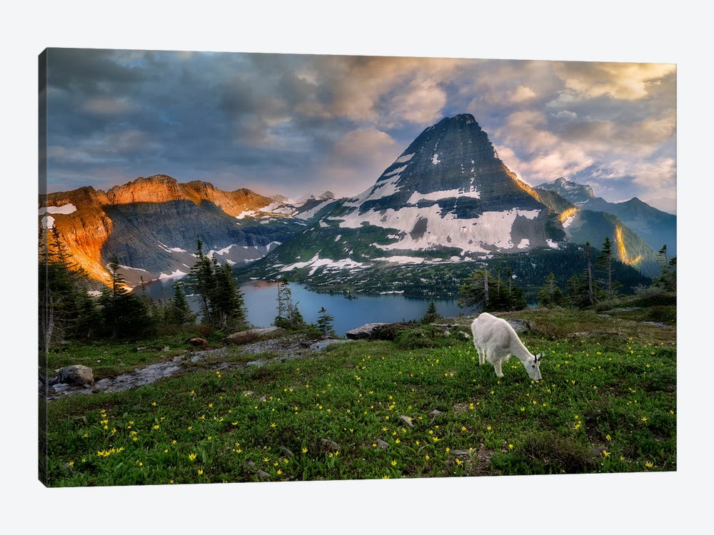 Goat Mountain by Dennis Frates 1-piece Canvas Artwork