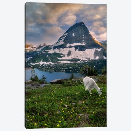 Goat Mountain II Canvas Print #DEN1004} by Dennis Frates Canvas Wall Art