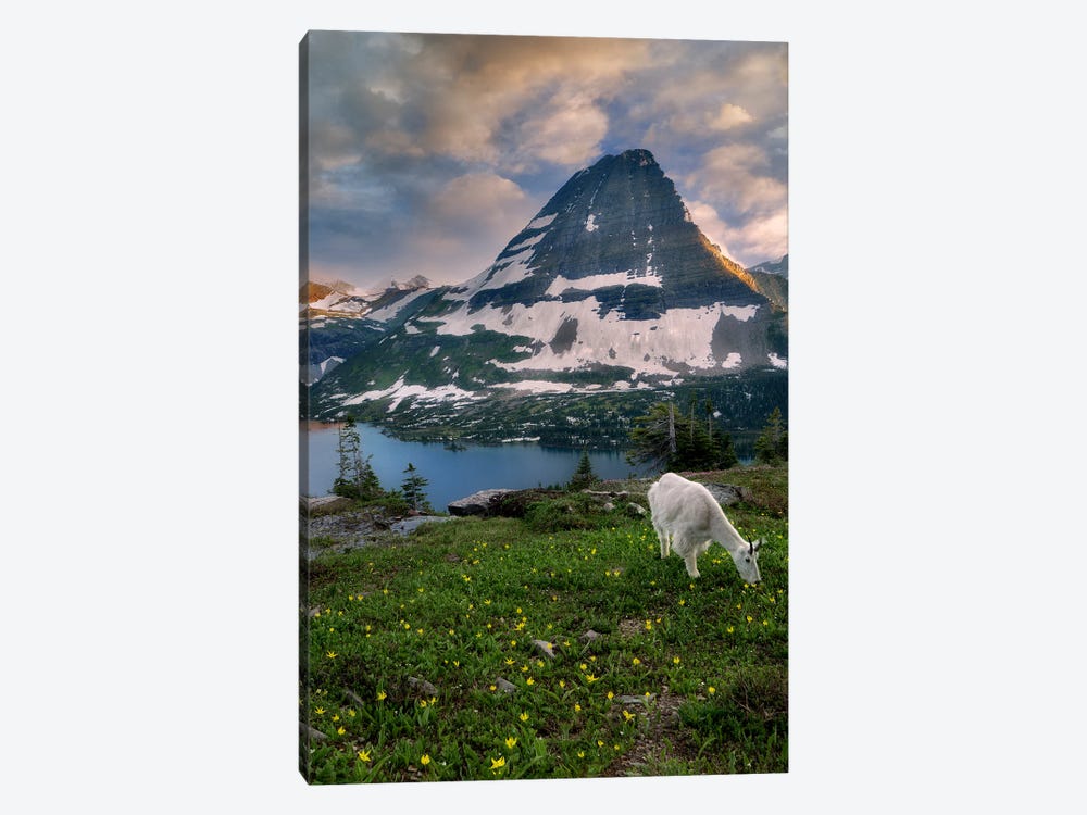 Goat Mountain II by Dennis Frates 1-piece Canvas Print