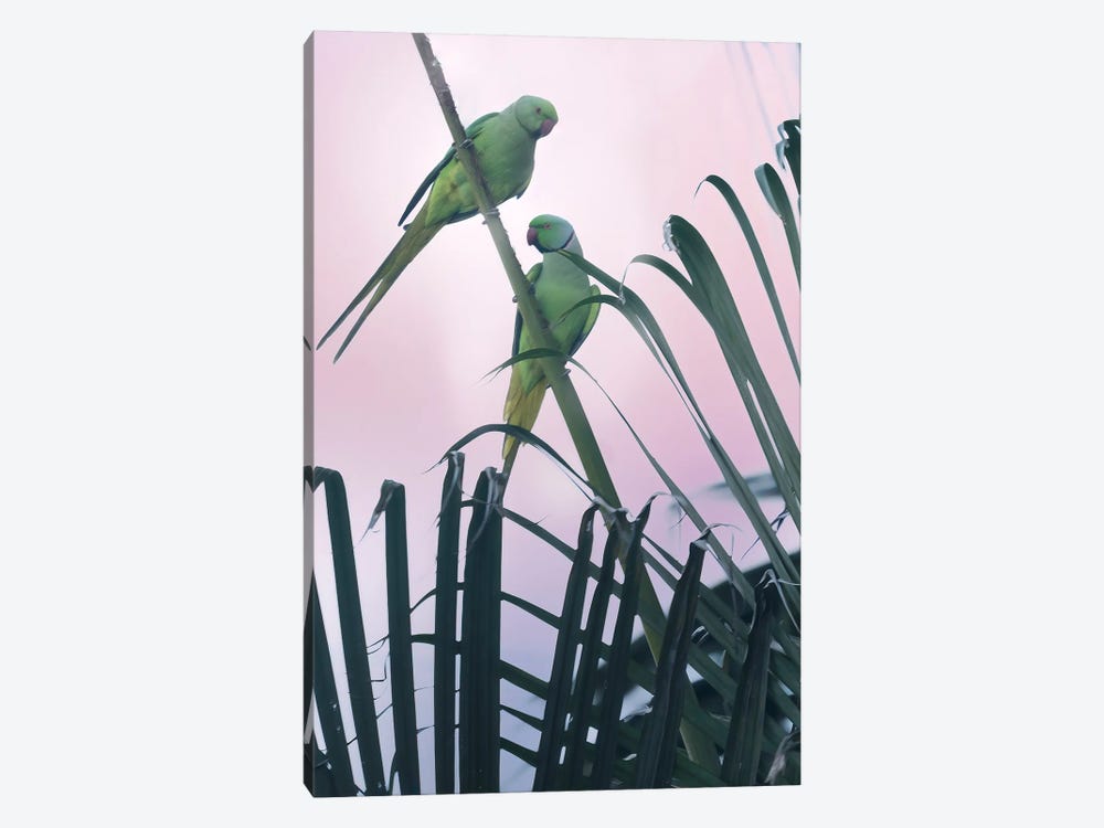 Tropical Parrots by Dennis Frates 1-piece Art Print