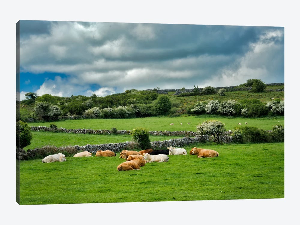Irish Pasture by Dennis Frates 1-piece Canvas Artwork