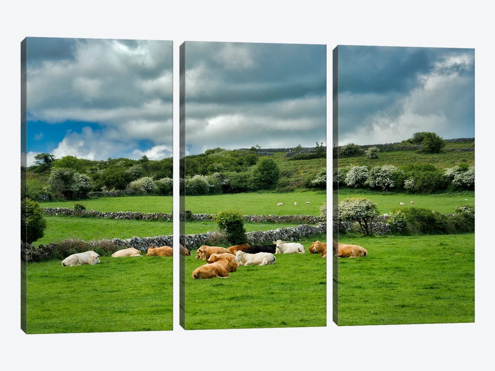 Irish Pasture by Dennis Frates 3-piece Canvas Wall Art